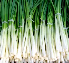 Pyaaz-green onion